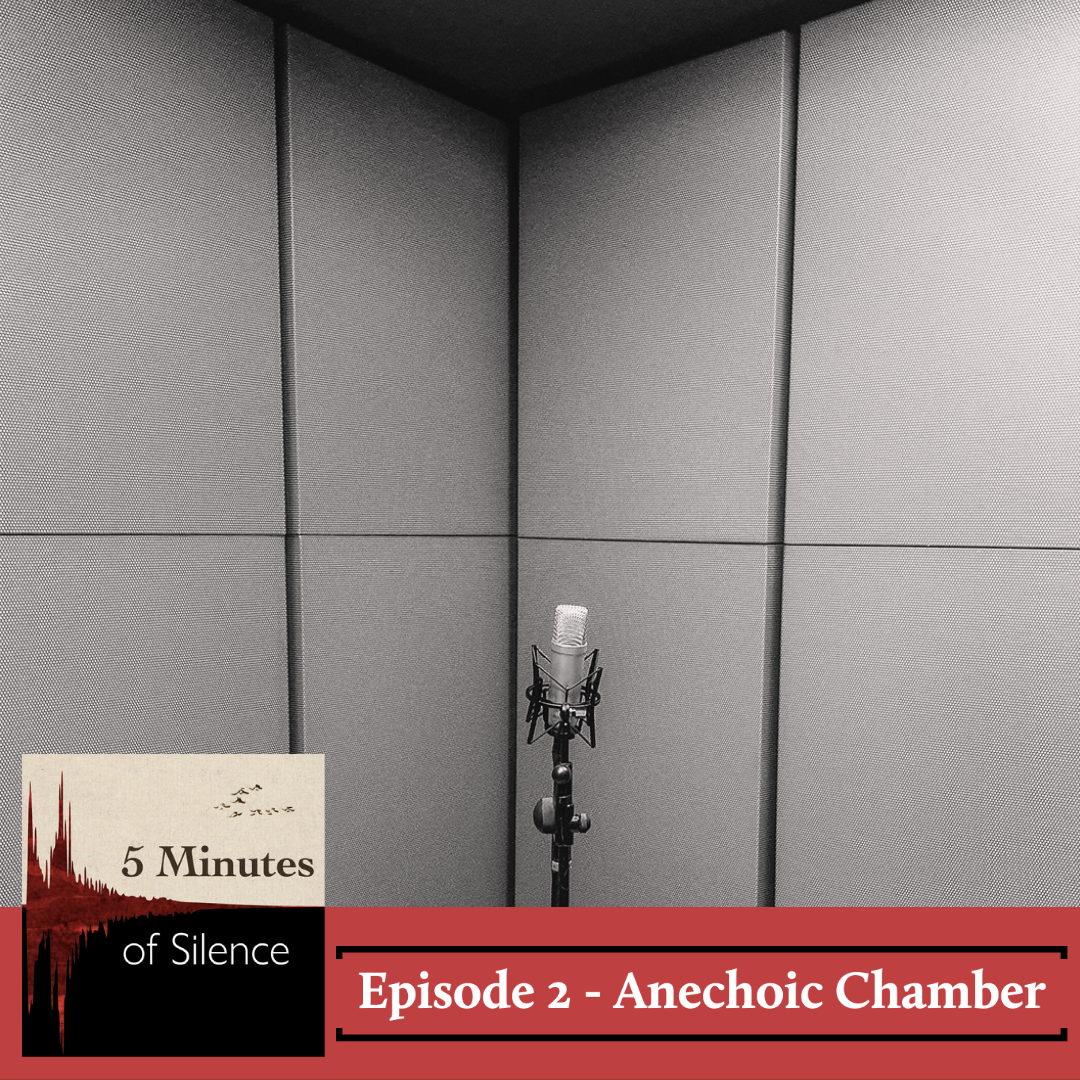 5 Minutes of Silence - Episode 2 - Anechoic Chamber Cover Art
